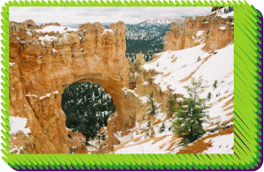 Bryce Canyon bus