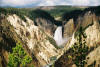 Yellowstone bus