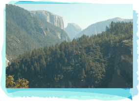 Yosemite tours