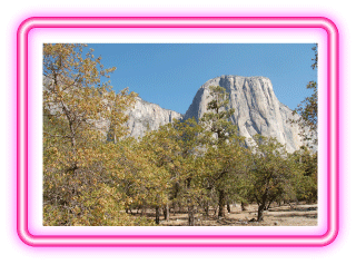 Yosemite transportation