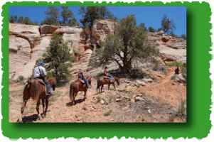 Zion bus transportation