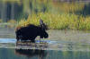 Grand Teton transportation